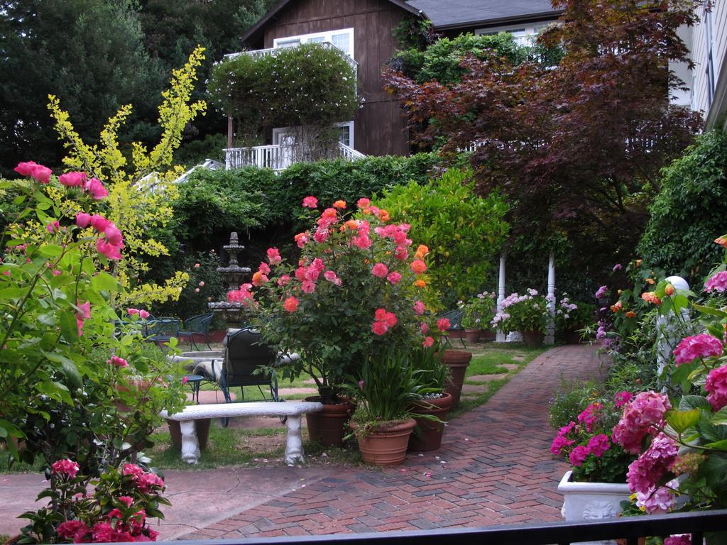 Inn At Occidental Exterior photo